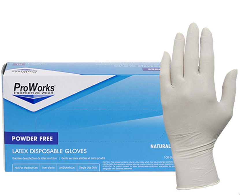 Disposable Latex Gloves, Large, Powder-Free, 100/BX